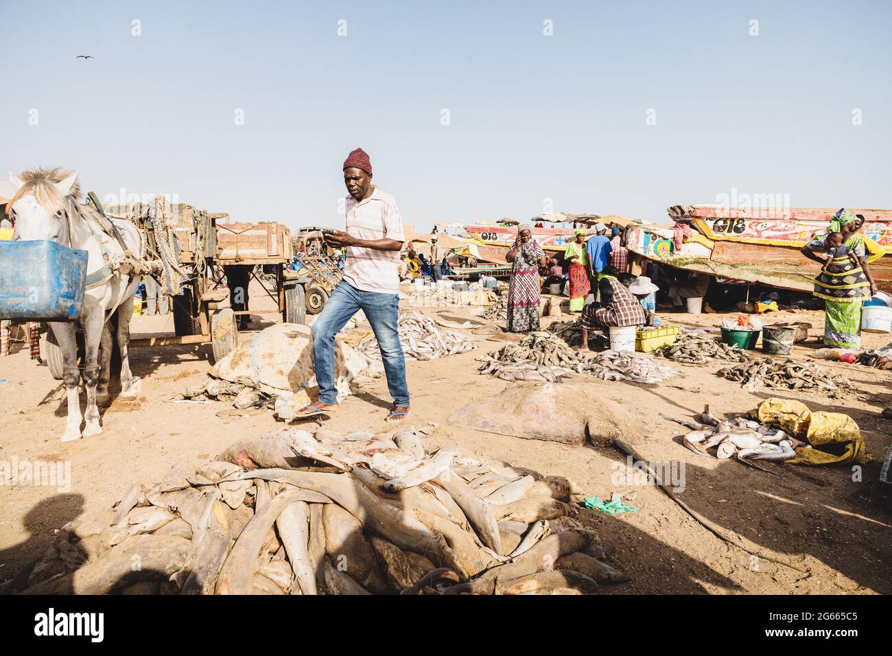 Fishing left overs in Mbour, Senegal: less wanted 'products' like sharks and rays are discarded on the beach as lower value items Stock Photo