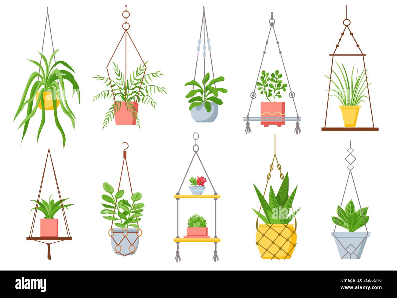 Home plant in hanging pot. Houseplant, succulent and cactus in pots on macrame rope. Decorative plants in cozy scandinavian style vector set Stock Vector