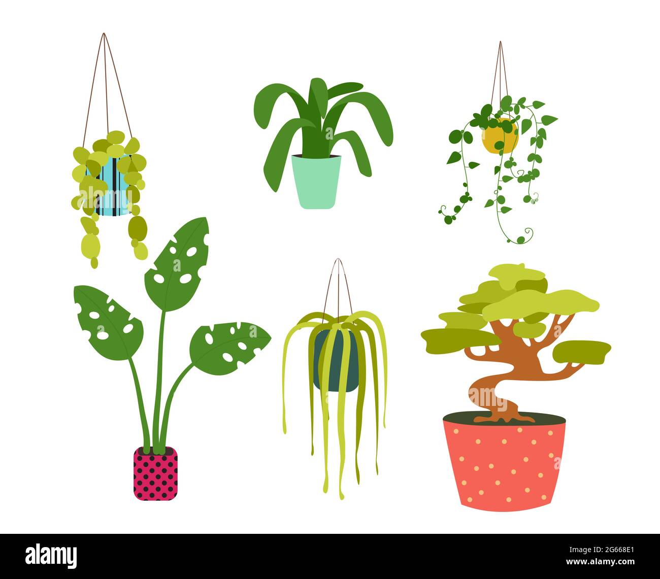 Houseplants In Various Pots Flat Design Vector Illustration Set Decor Color Elements Stock 