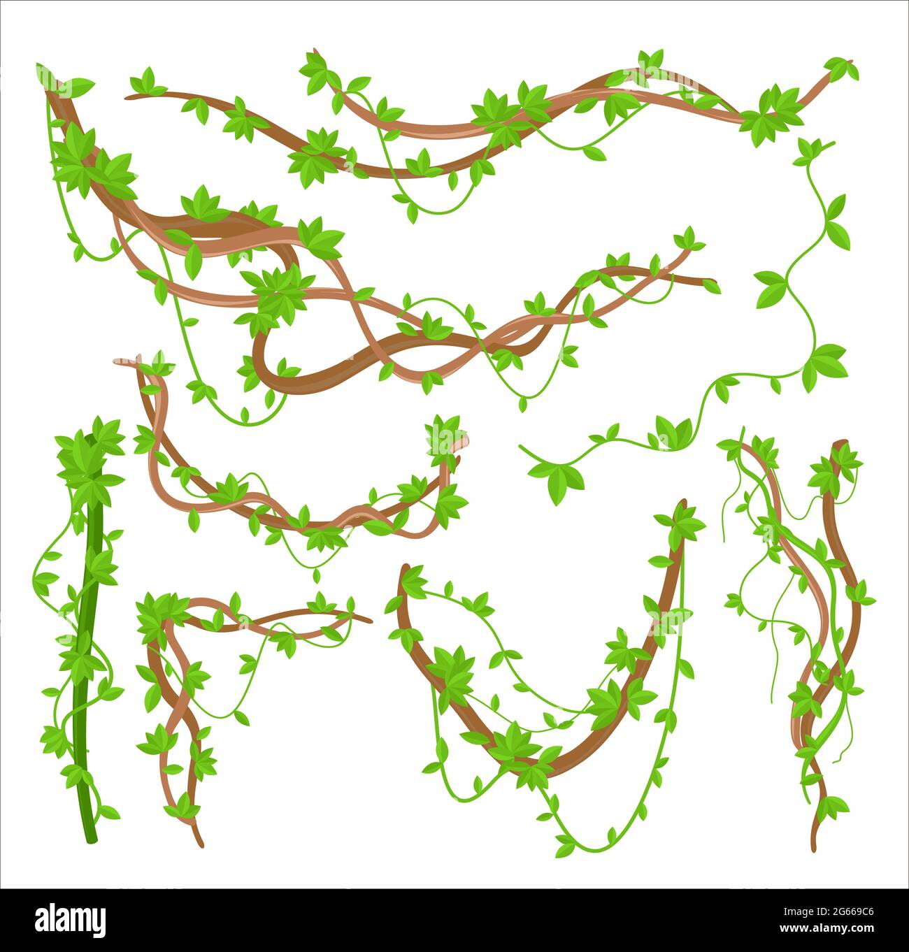 Green liana plants creepers flat vector illustrations set Stock Vector
