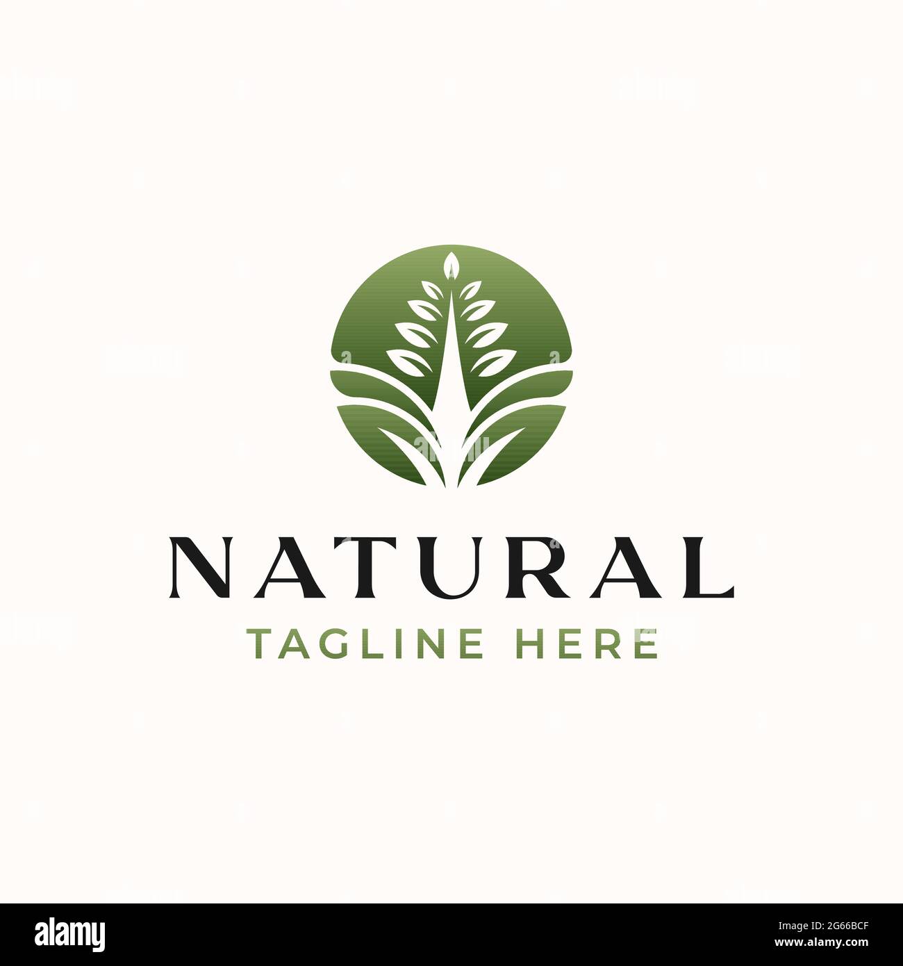 Leaf Green Gradient, Nature Logo Template Isolated in White Background ...