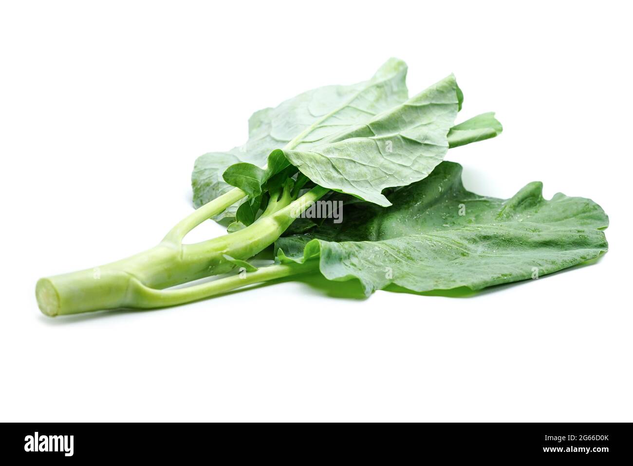 Chinese kale vegetable on white background Stock Photo Alamy