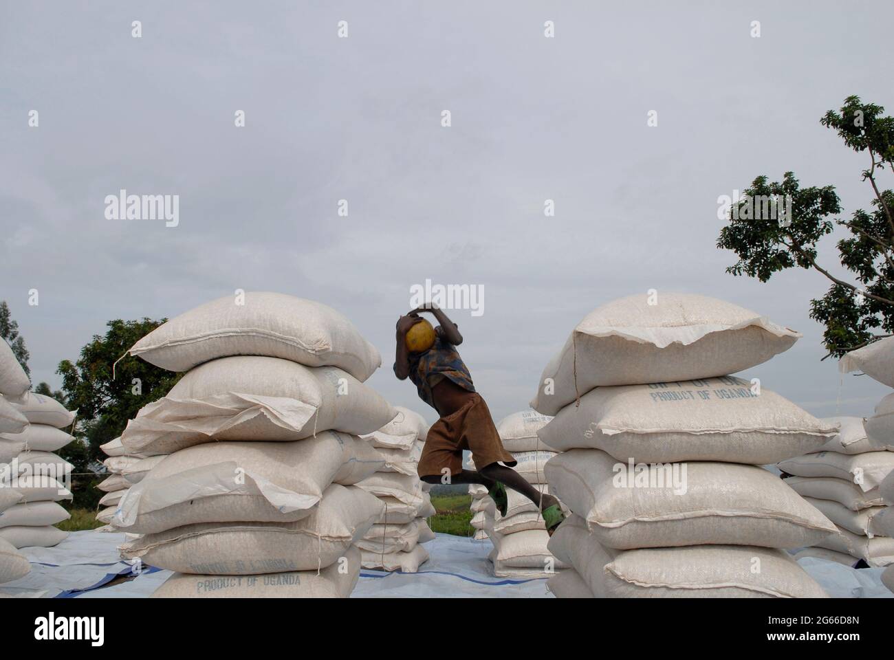 Young internally displaced boy playing amid piles of sacks containing basic foodstuff at a World Food Programme WFP distribution point in North Kivu DR Congo Stock Photo