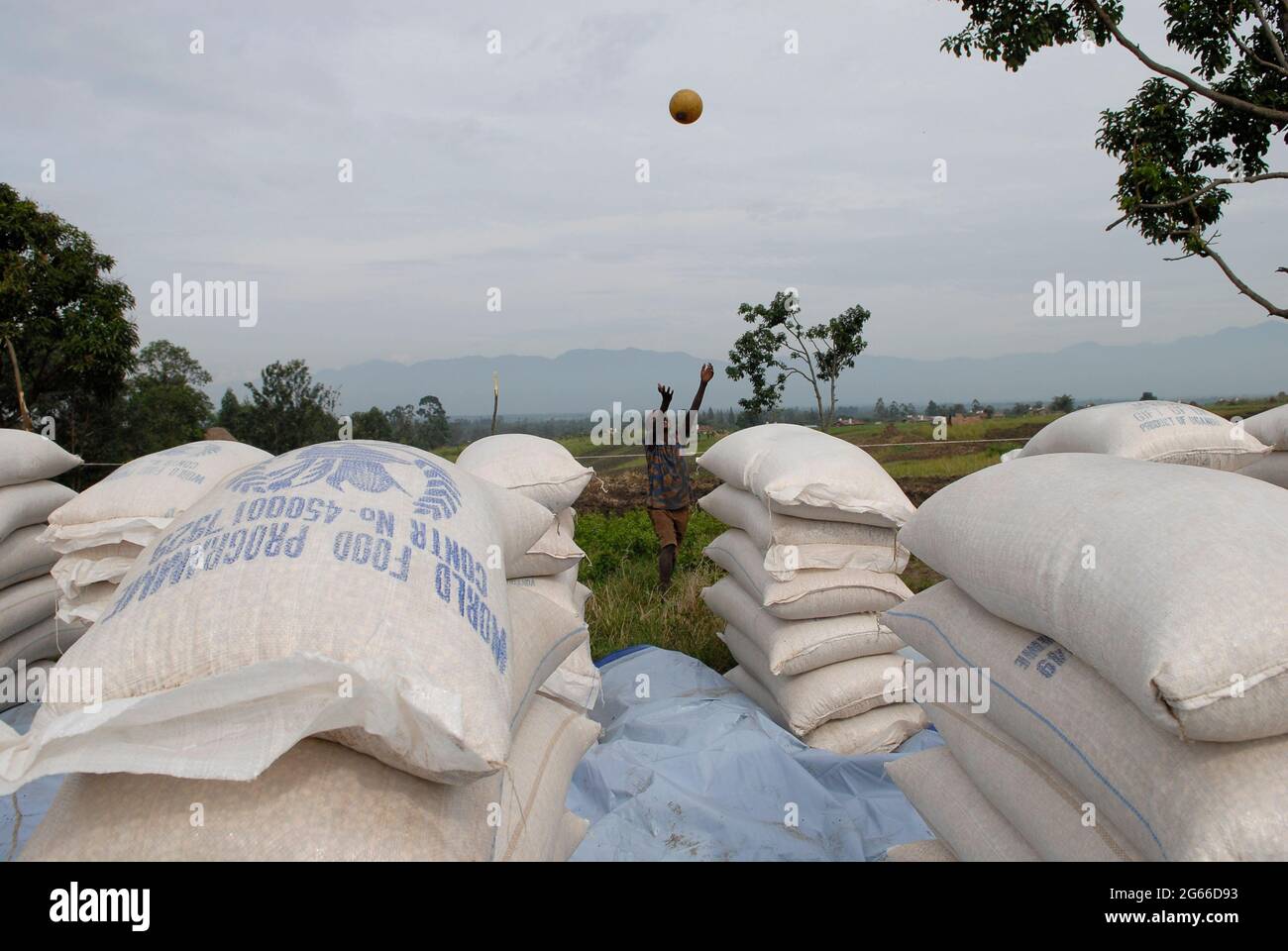 Young internally displaced boy playing amid piles of sacks containing basic foodstuff at a World Food Programme WFP distribution point in North Kivu province, DR Congo Africa Stock Photo