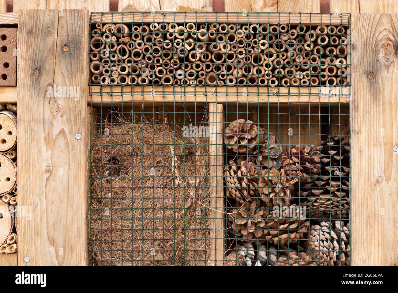 Insect hotel made of natural material like wood, branches, dried grass, bamboo sticks and pine cones for a better biodiversity Stock Photo