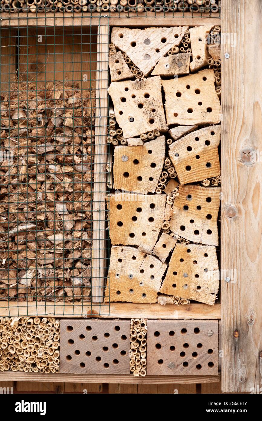 Insect hotel made of natural material like wood with holes, dried grass, bamboo sticks and woodchips for a better biodiversity in nature Stock Photo