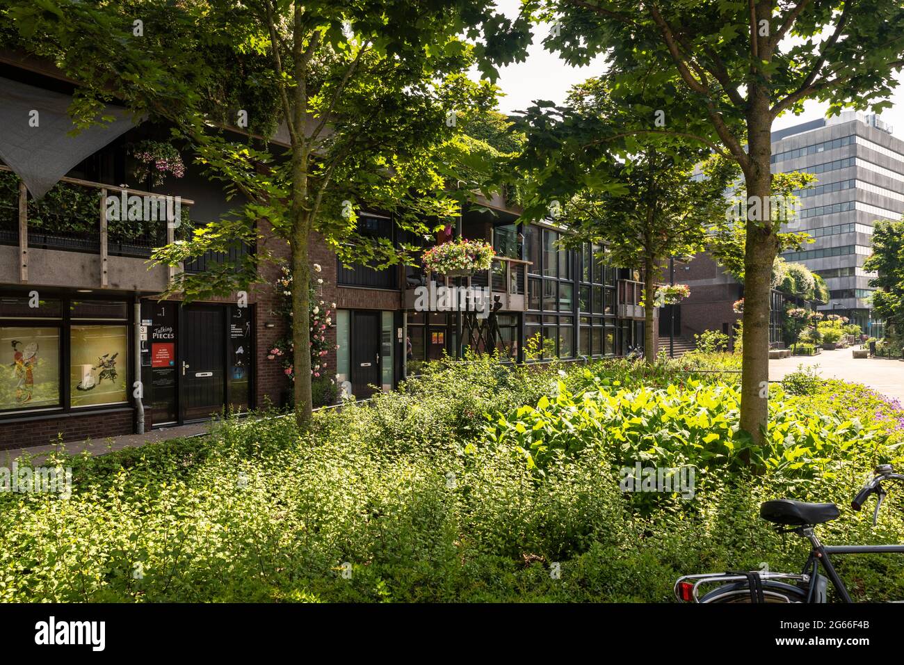 Eindhoven, The Netherlands June 18th 2021. Street with green nature in the centre of Eindhoven