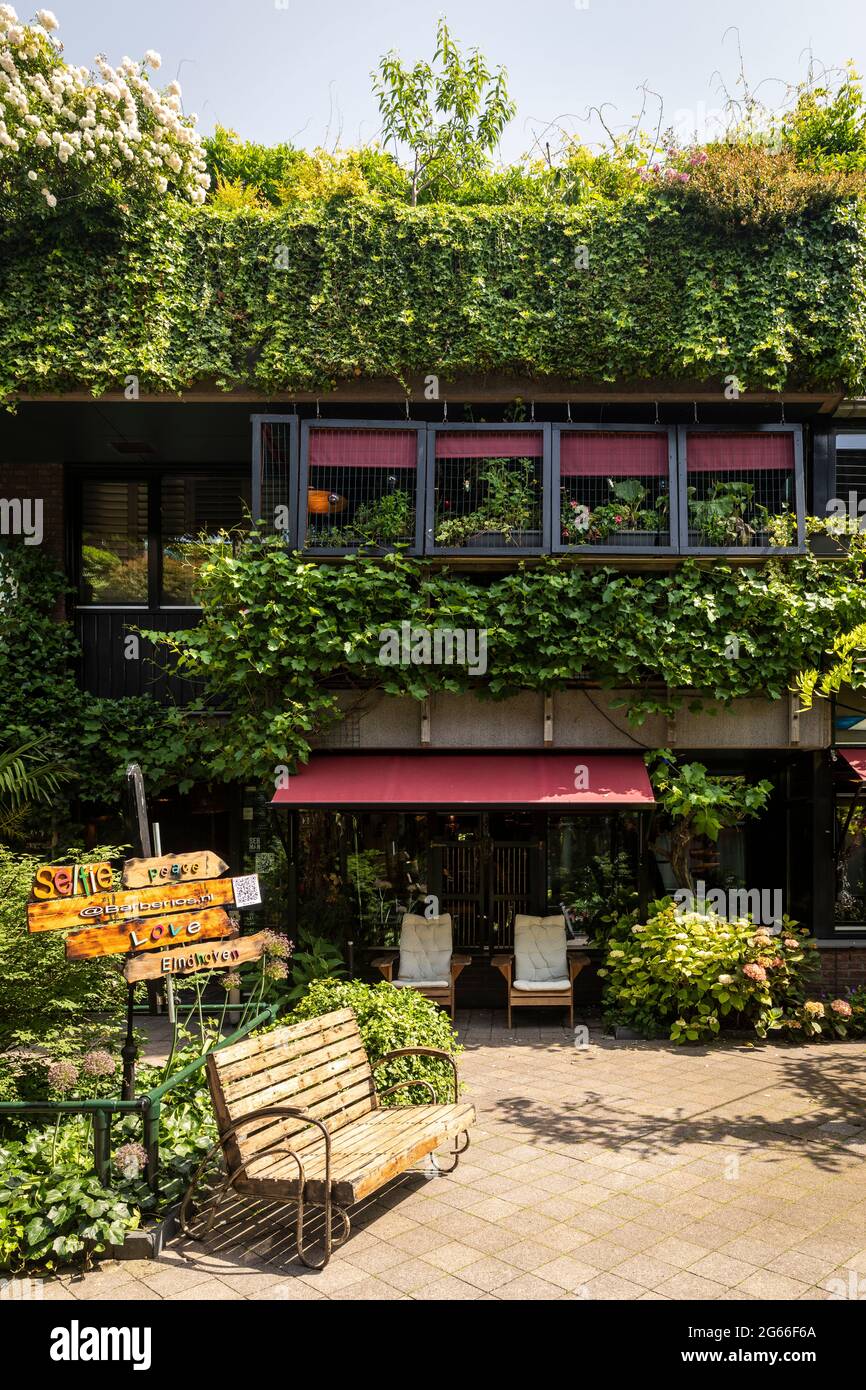 Eindhoven, The Netherlands June 18th 2021. Street with green nature in the centre of Eindhoven