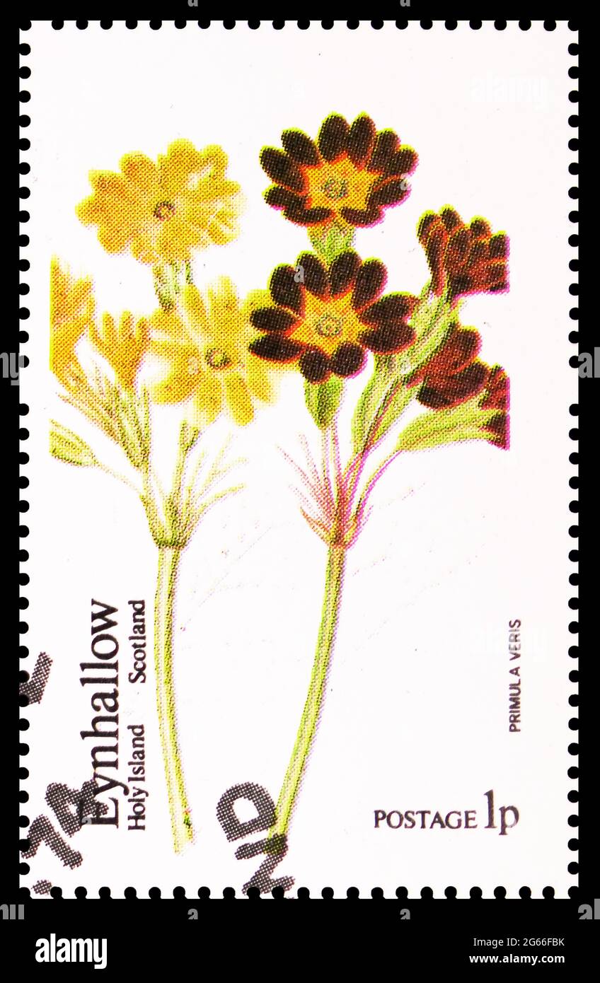 MOSCOW, RUSSIA - MARCH 22, 2020: Postage stamp printed in Cinderellas shows Primula veris, Eynhallow Holy Island, Scotland serie, circa 1974 Stock Photo