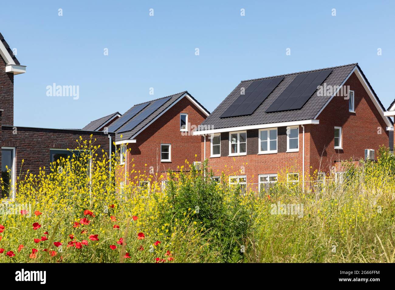 Solar panels on the roof of new built houses in The Netherlands collecting green energy from the sun in a modern and sustainable way. New technology o Stock Photo