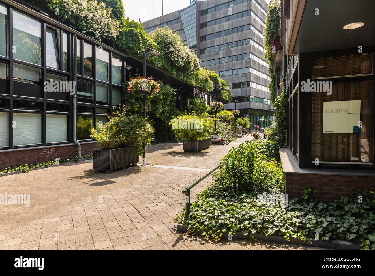 Eindhoven, The Netherlands June 18th 2021. Vertical garden street with ...