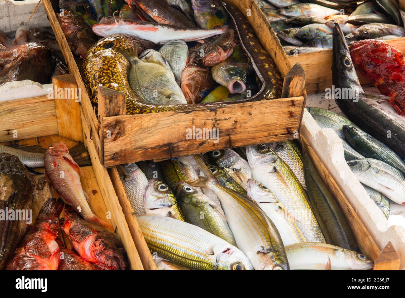 Fresh fishes sold from the boat Stock Photo