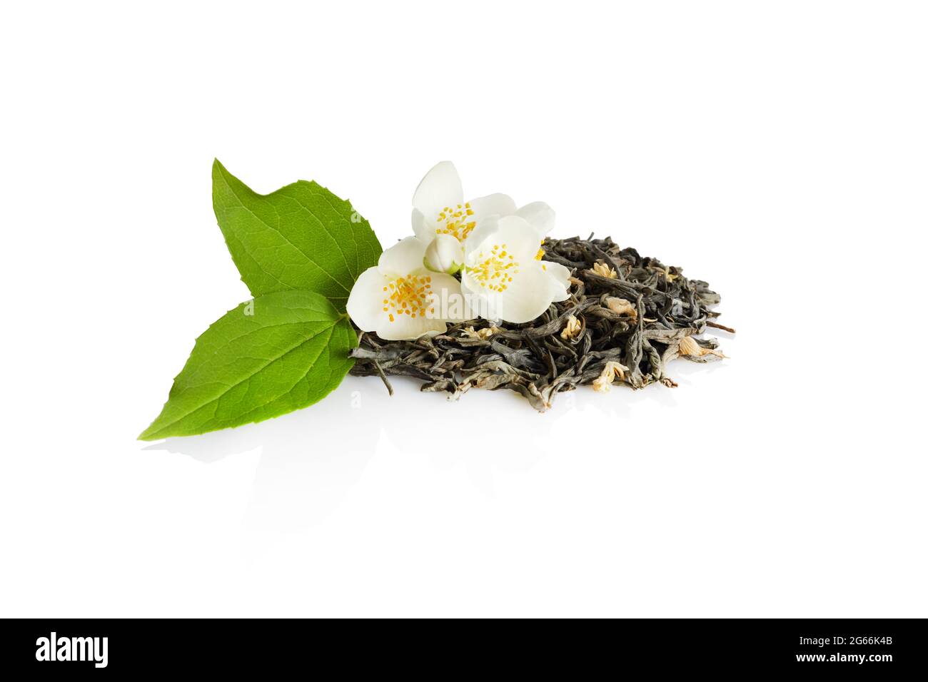 Japanese jasmine hires stock photography and images Alamy