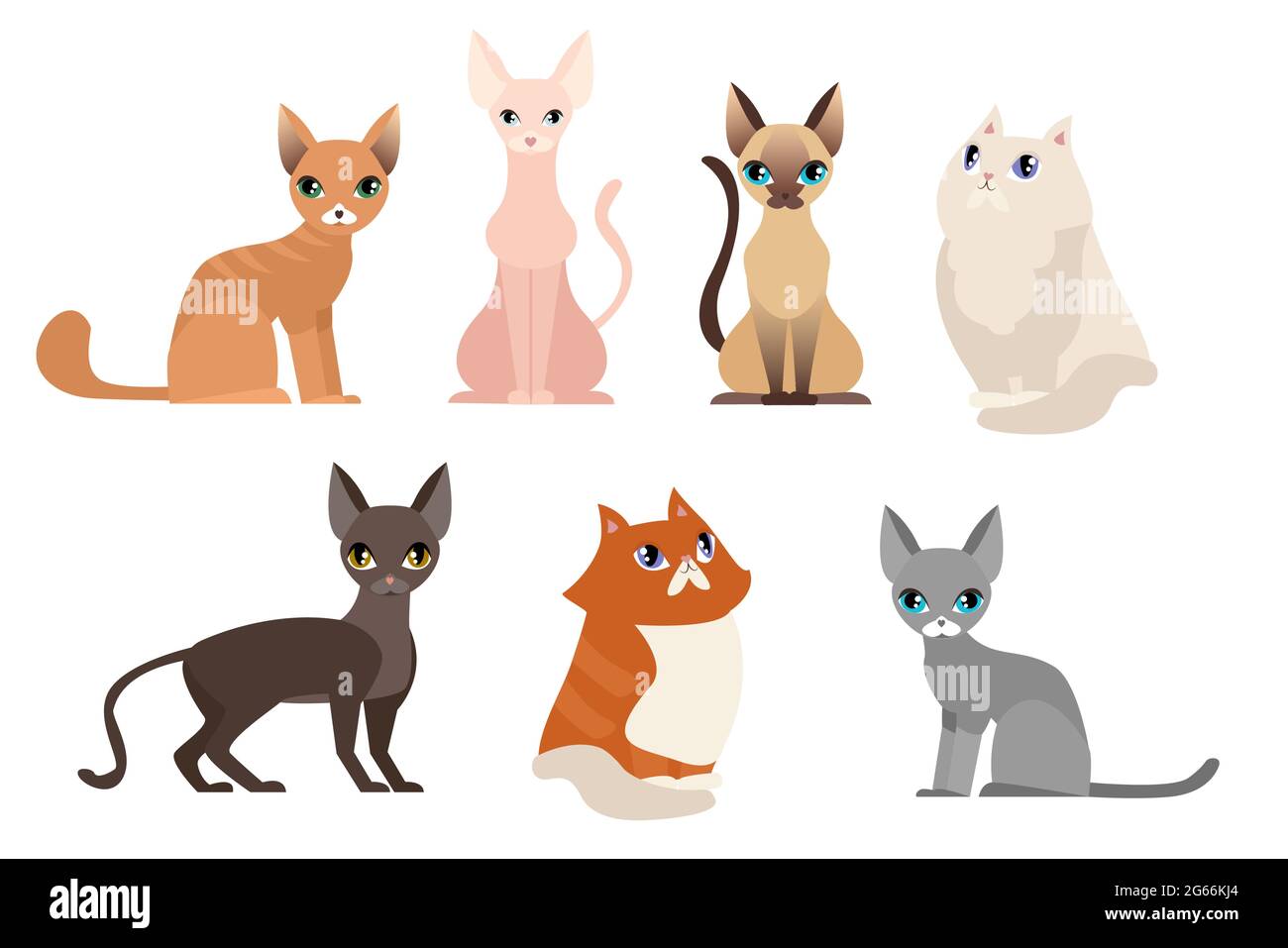 Vector illustration set of different cat breeds, cute pet animal collection, different cats on white background in cartoon flat style. Stock Vector