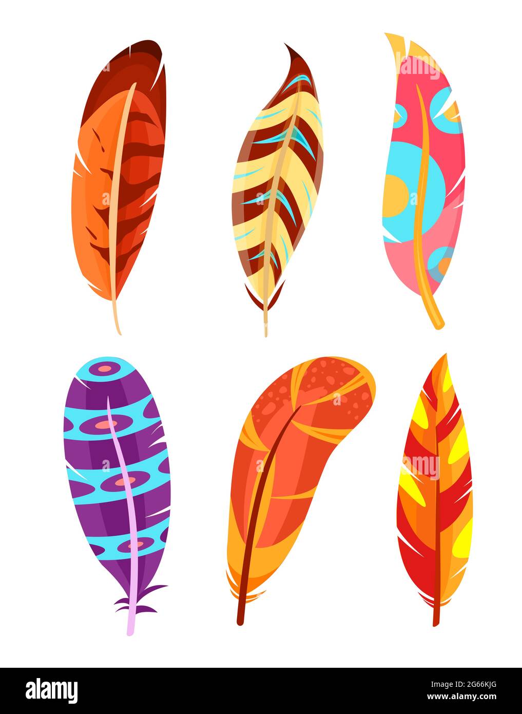 Premium Vector  Set of bright bird feathers detailed feathers of different  shapes and colors