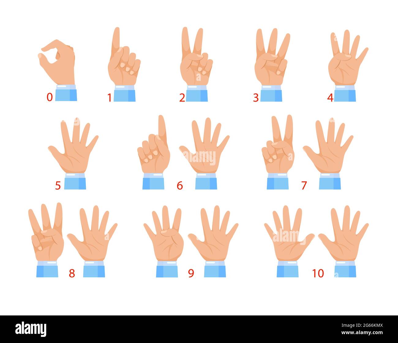 Vector illustration of hands and numbers by fingers. Human hand and number gesture isolated on white background. Stock Vector