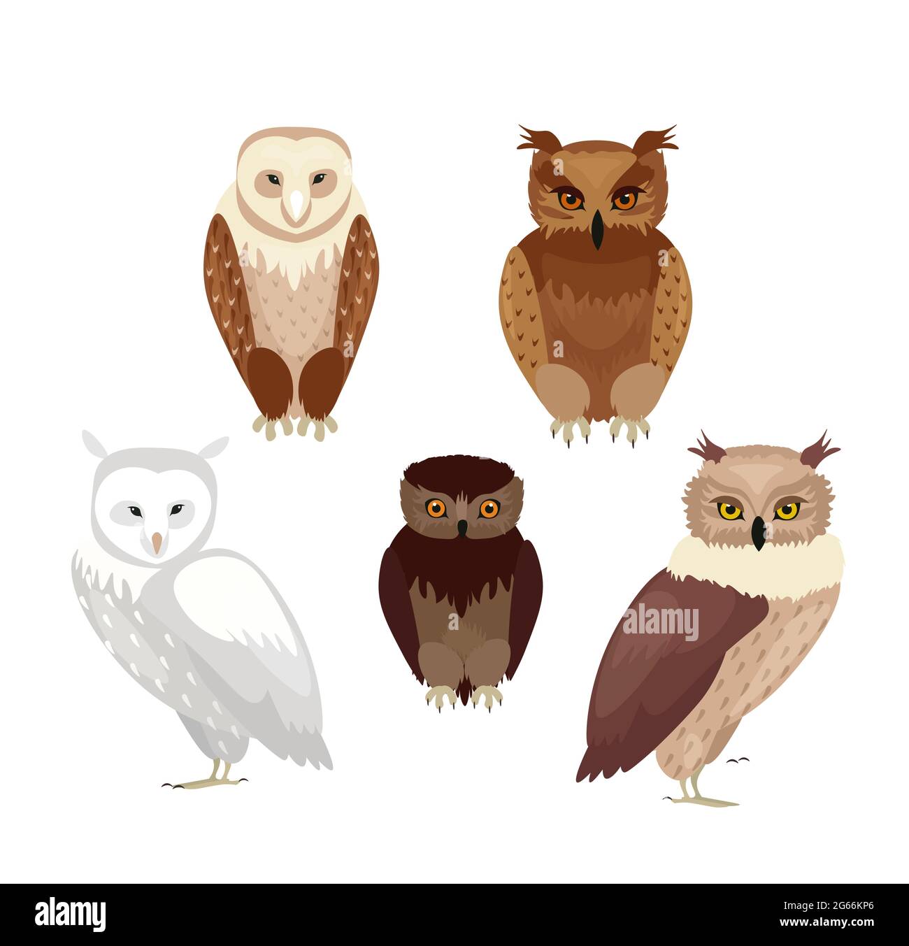 Vector illustration of realistic owls set. Collection of owls in ...
