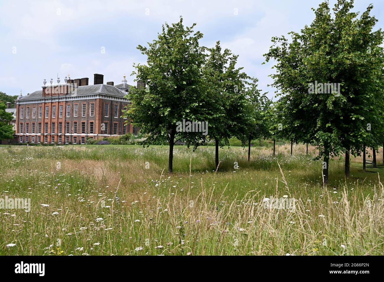 Wildflower Meadow, Kensington Palace, Kensington Gardens, London. UK Stock Photo