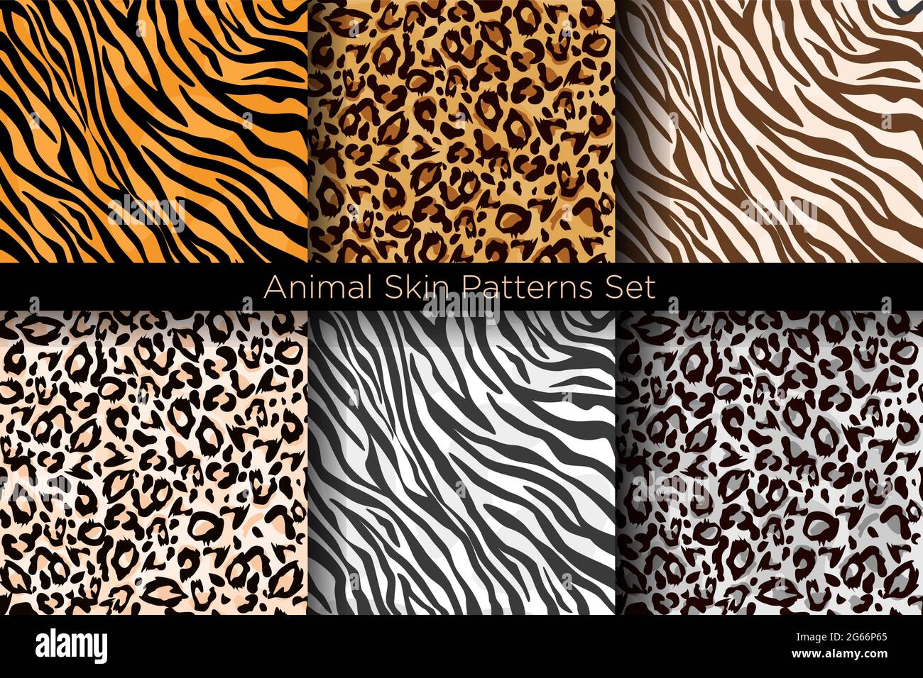 Vector illustration set of animal seamless prints. Tiger and leopard