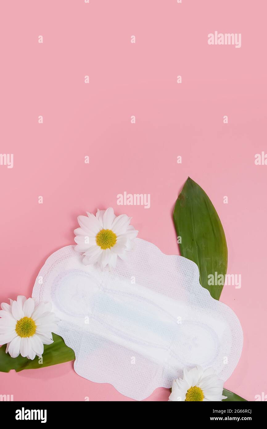 Floral clean sanitary pad, hygiene concept, women products, menstrual pads Stock Photo Alamy