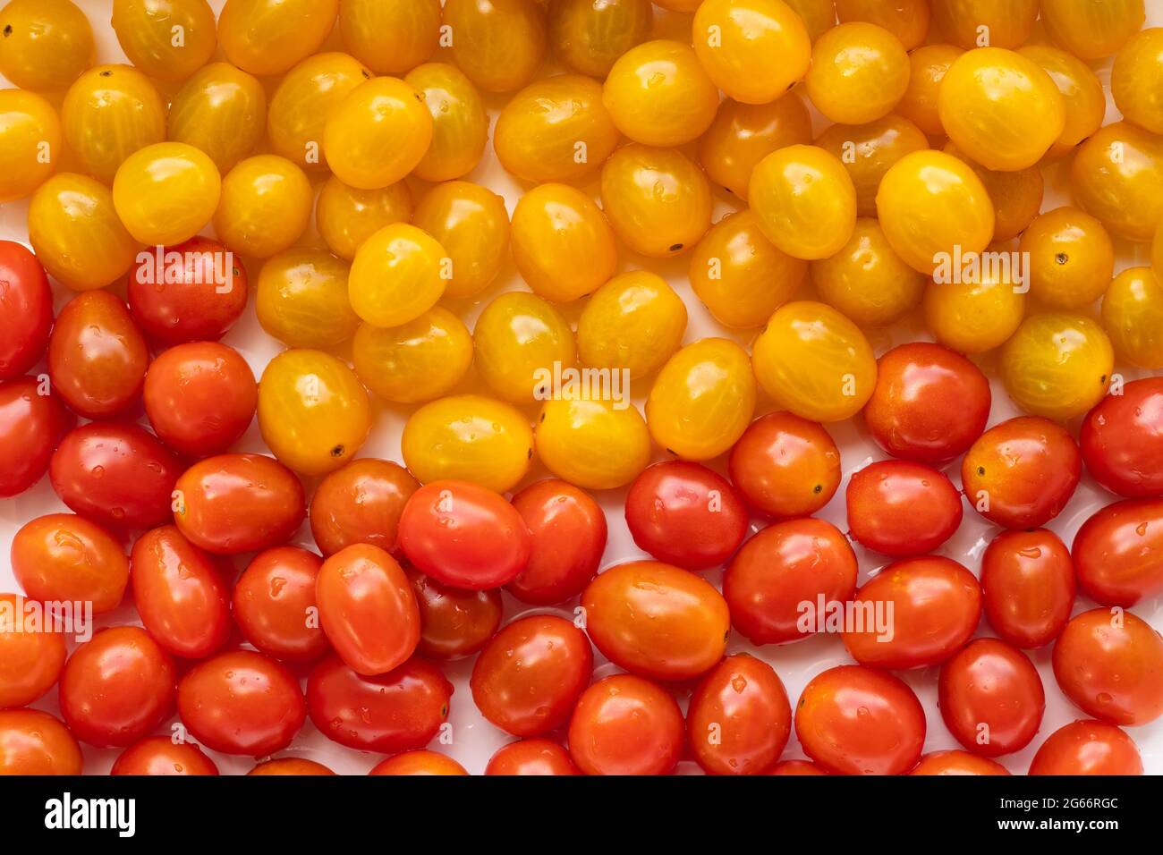 High angle view of full frame image of bright red and yellow tomatoes ...