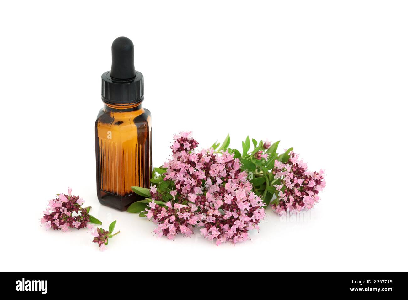 Oregano herb flowers with essential oil bottle. Used in food seasoning,  aromatherapy & herbal medicine. Eases IBS symptoms, is anti bacterial Stock  Photo - Alamy