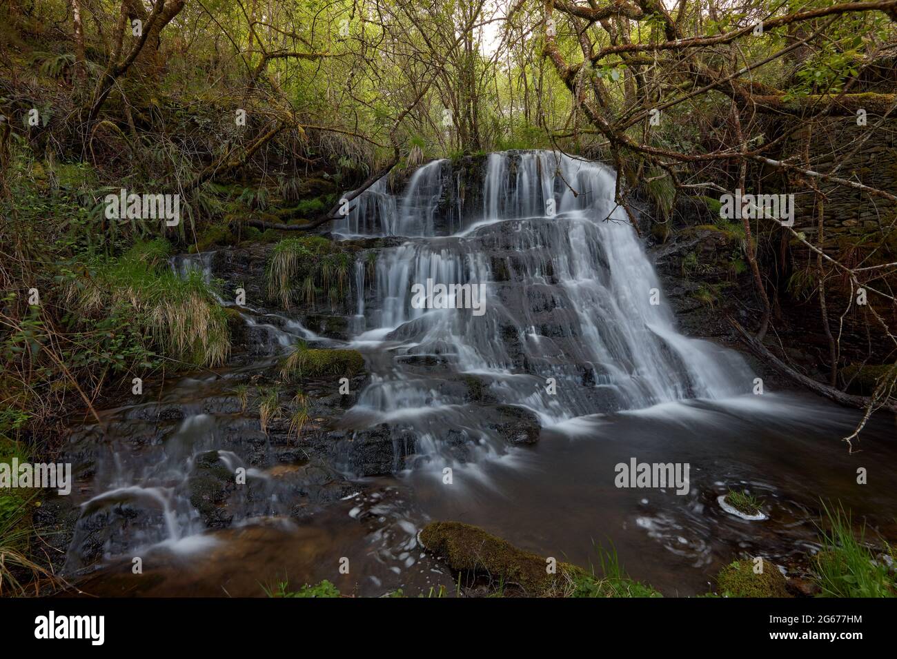 Waterfall in a beautiful forest in the area of Galicia, Spain. Stock Photo
