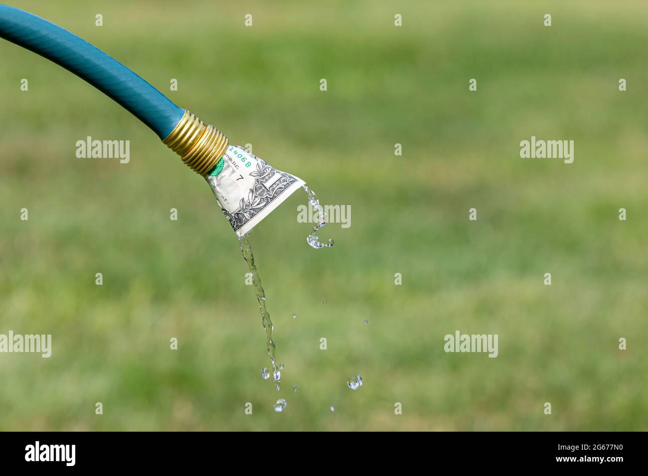 Garden hose and cash money. Water bill, conservation and usage concept Stock Photo