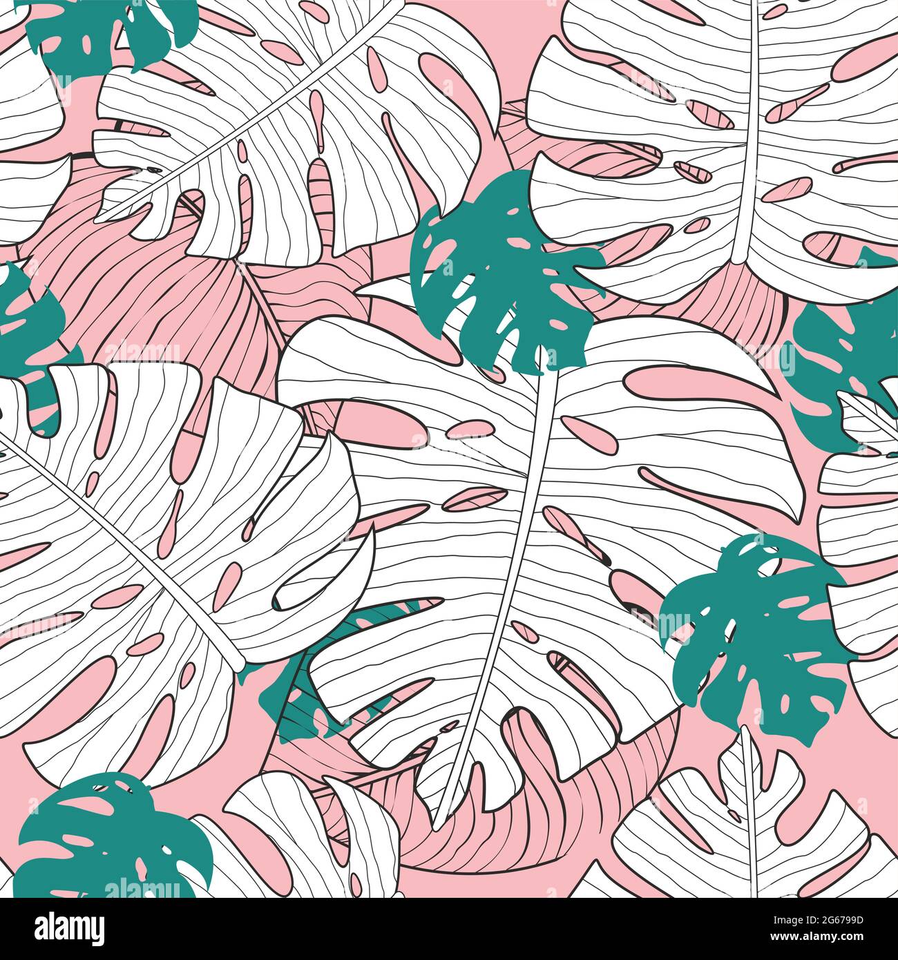 Vector illustration of seamless exotic floral pattern with green and white monstera leaves on pink background, tropical plants pattern in flat style. Stock Vector