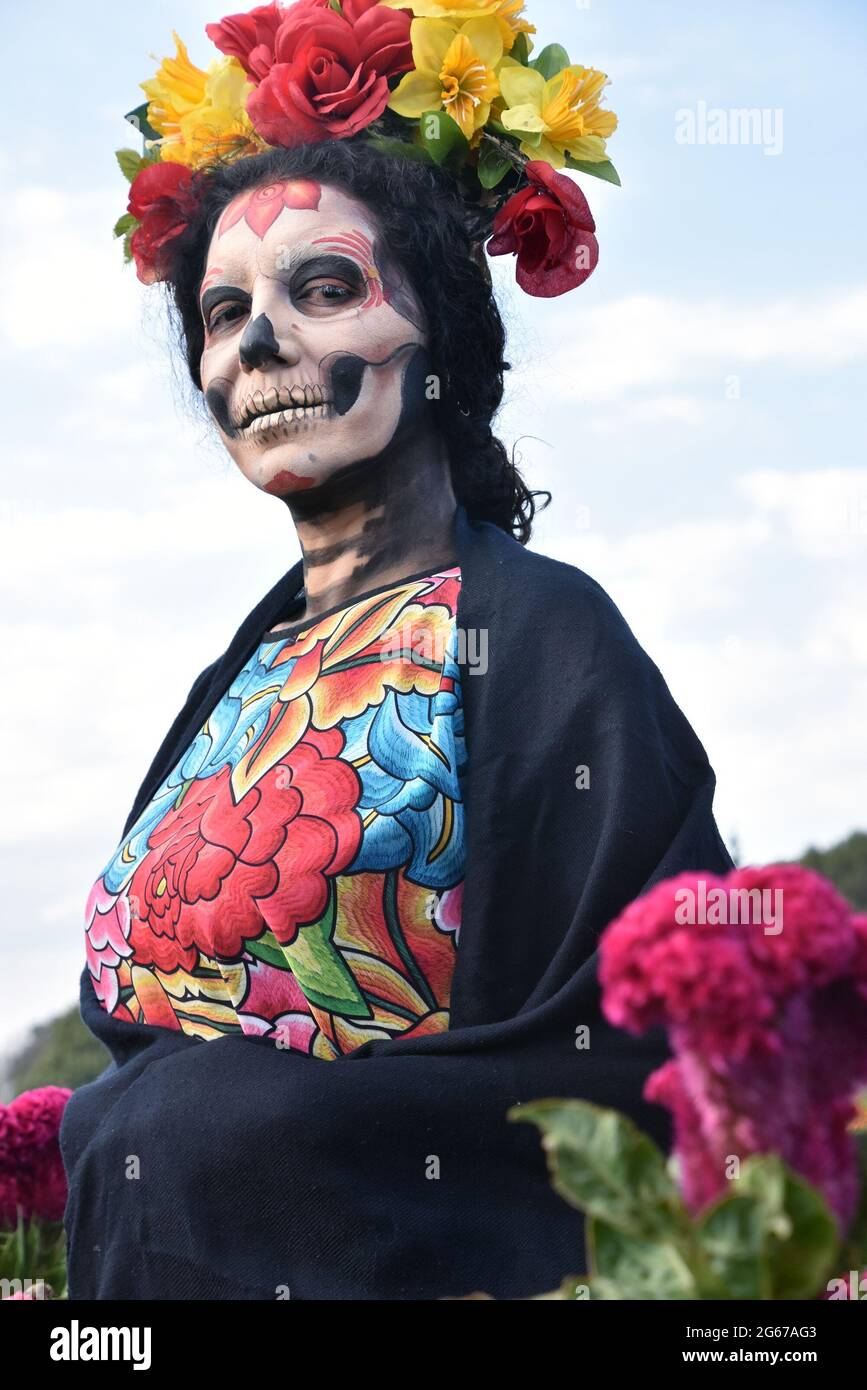 A woman dressed as Catrina, a famous Day of the Dead figure, poses in a field of Day of the Dead flowers. Stock Photo