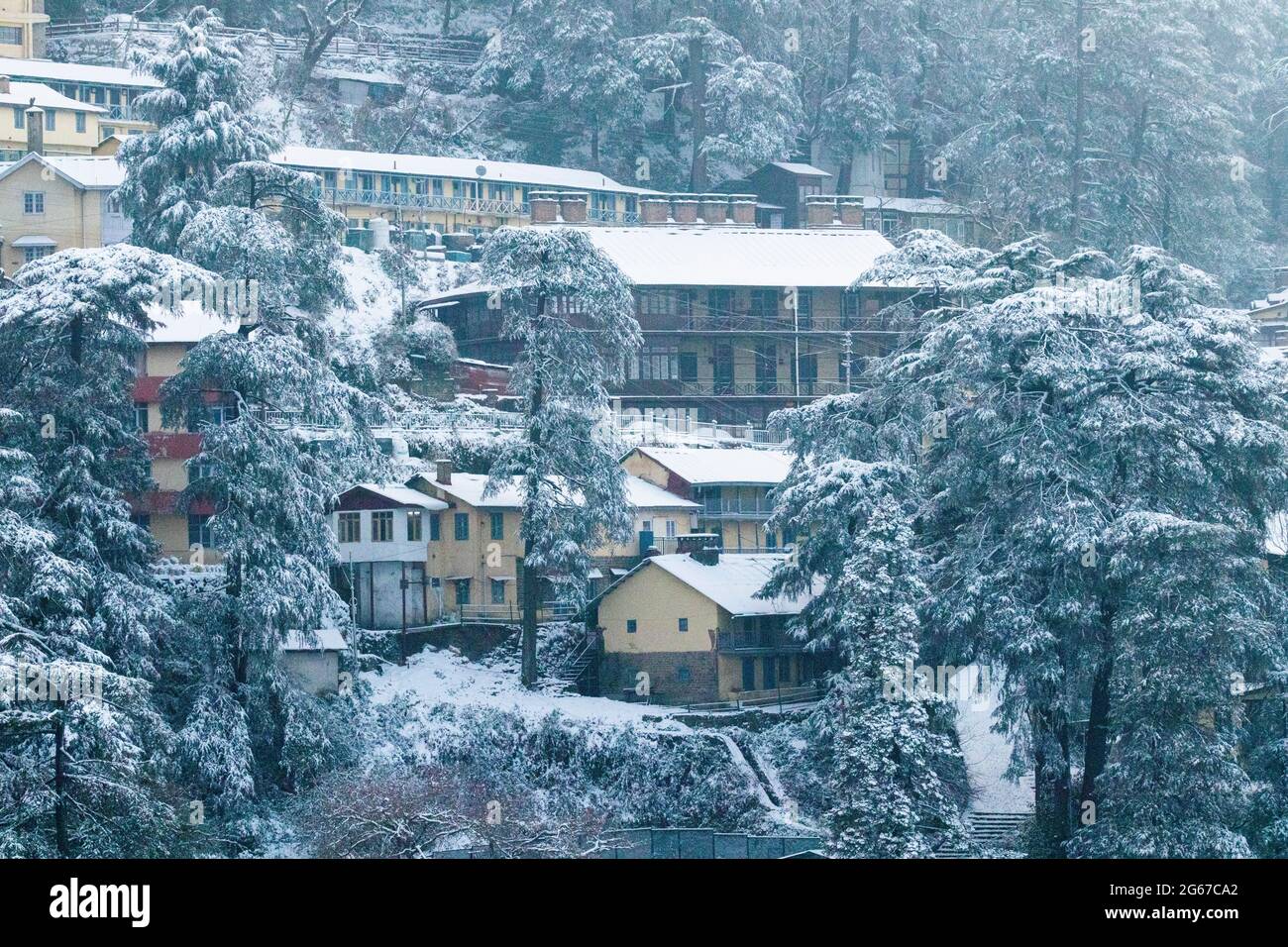 Latest views of Snowfall in Shimla Stock Photo Alamy