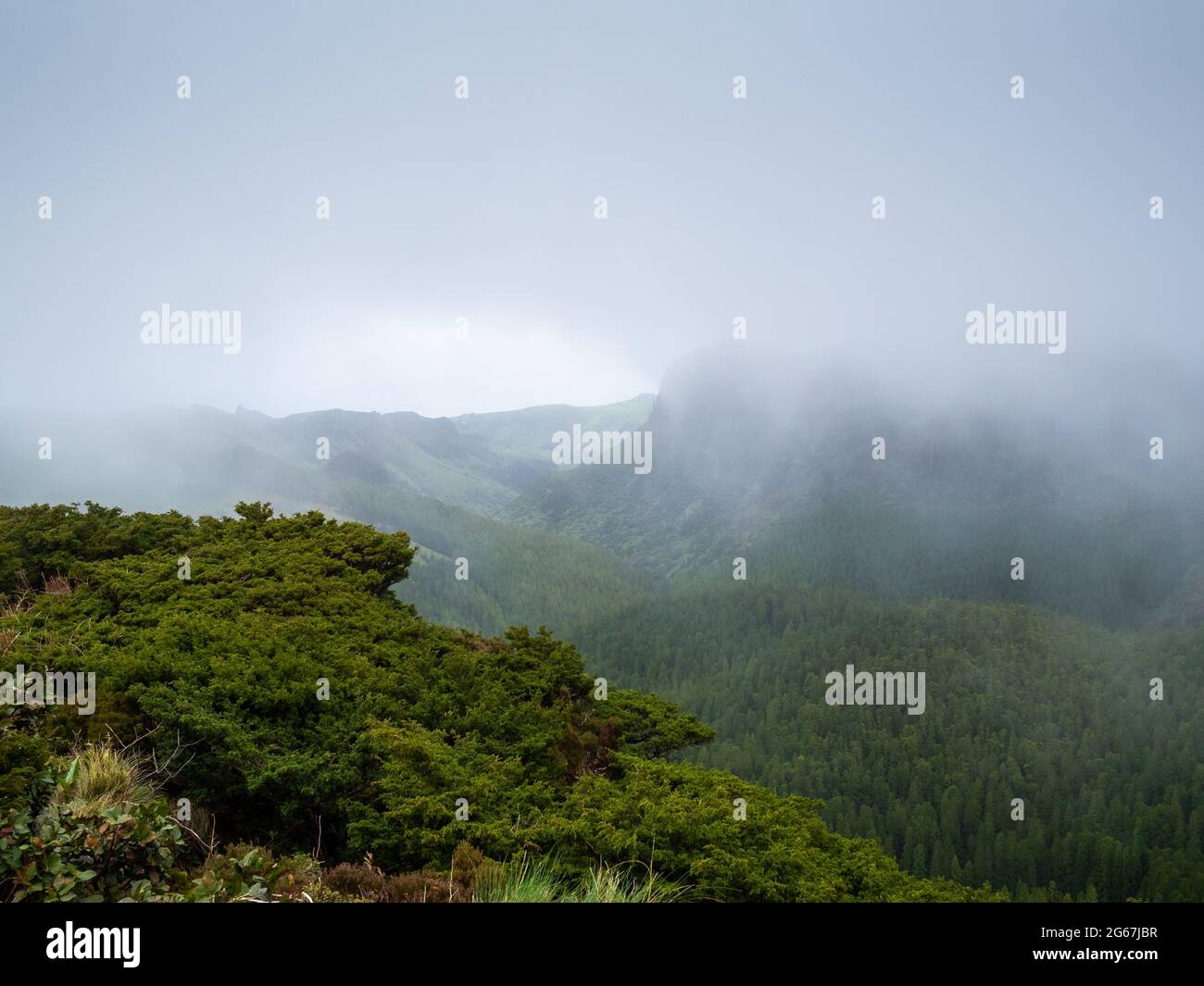Forest covered low clouds hi res stock photography and images Alamy Forest covered low clouds hi res stock photography and images Alamy