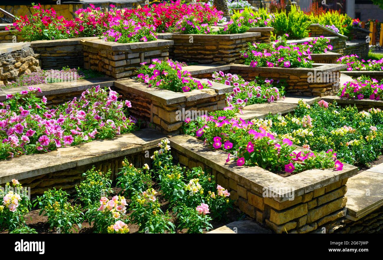 Landscape design of nice home garden, landscaping with retaining walls and flowerbeds in residential house backyard. Beautiful flowers and plants in l Stock Photo