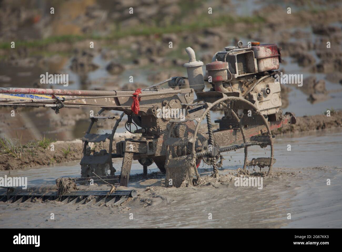 Laos rice farming hi-res stock photography and images - Alamy