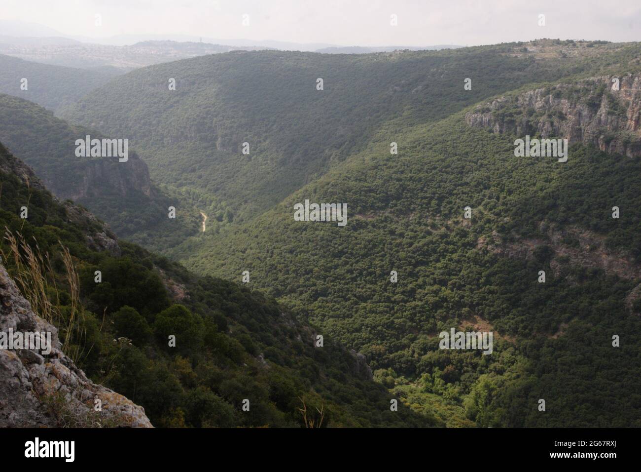 Deep ravine and steep cliffs of Nachal Kziv in the Upper Galilee, the Biblical forest of Palestine Oak Trees, a Mediterranean Shrubland Stock Photo