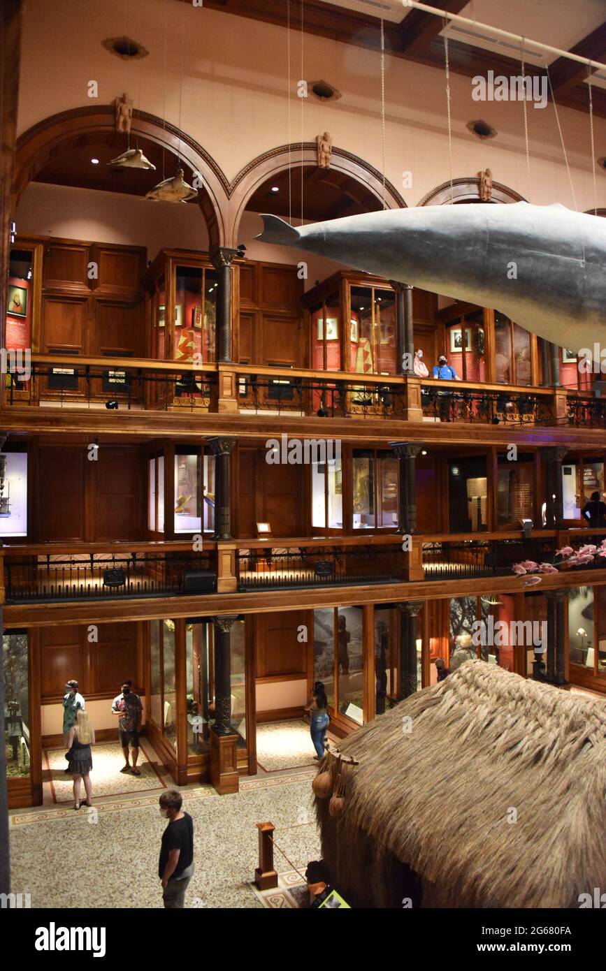 Oahu, Hawaii. U.S.A. 6/9/2021. (Ambient light/flash) Bishop Museum 1889. World-class collection of Hawaiian and Pacific Cultures. Stock Photo