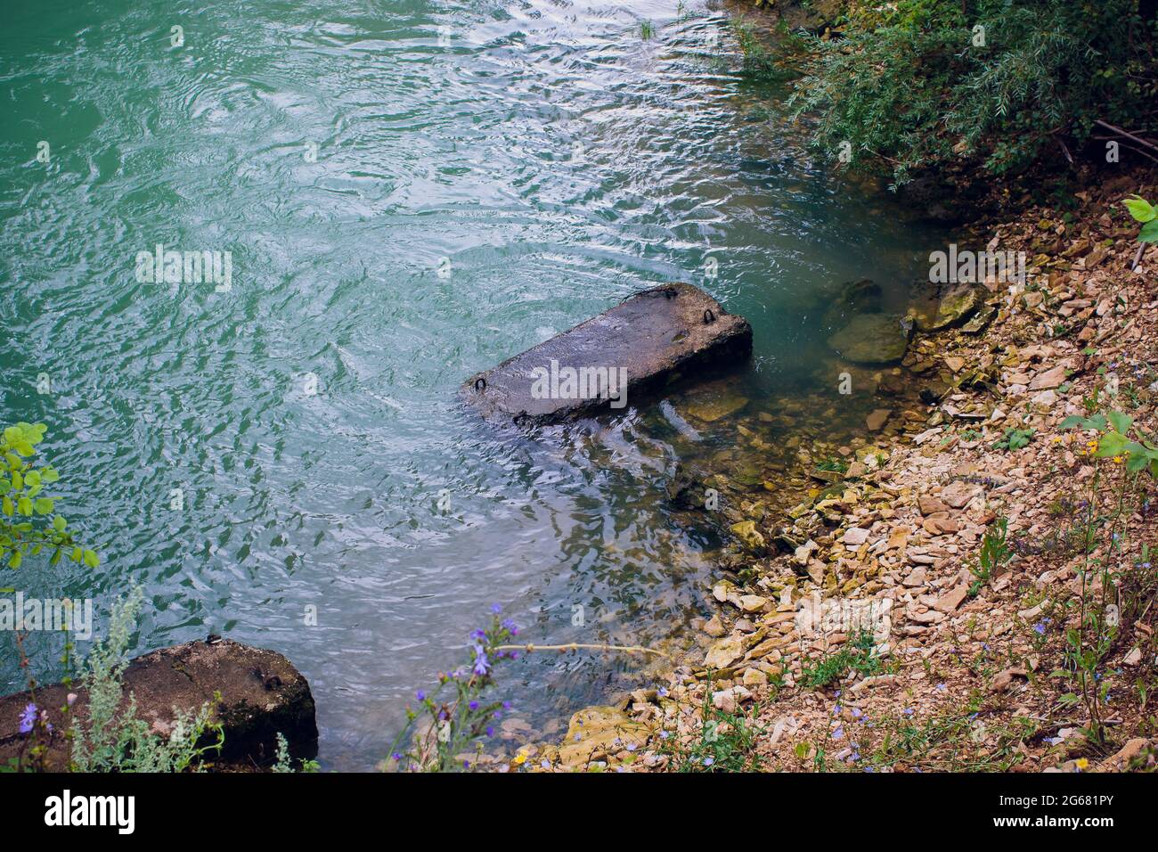 Blue water in a forest lake with pine trees Stock Photo - Alamy