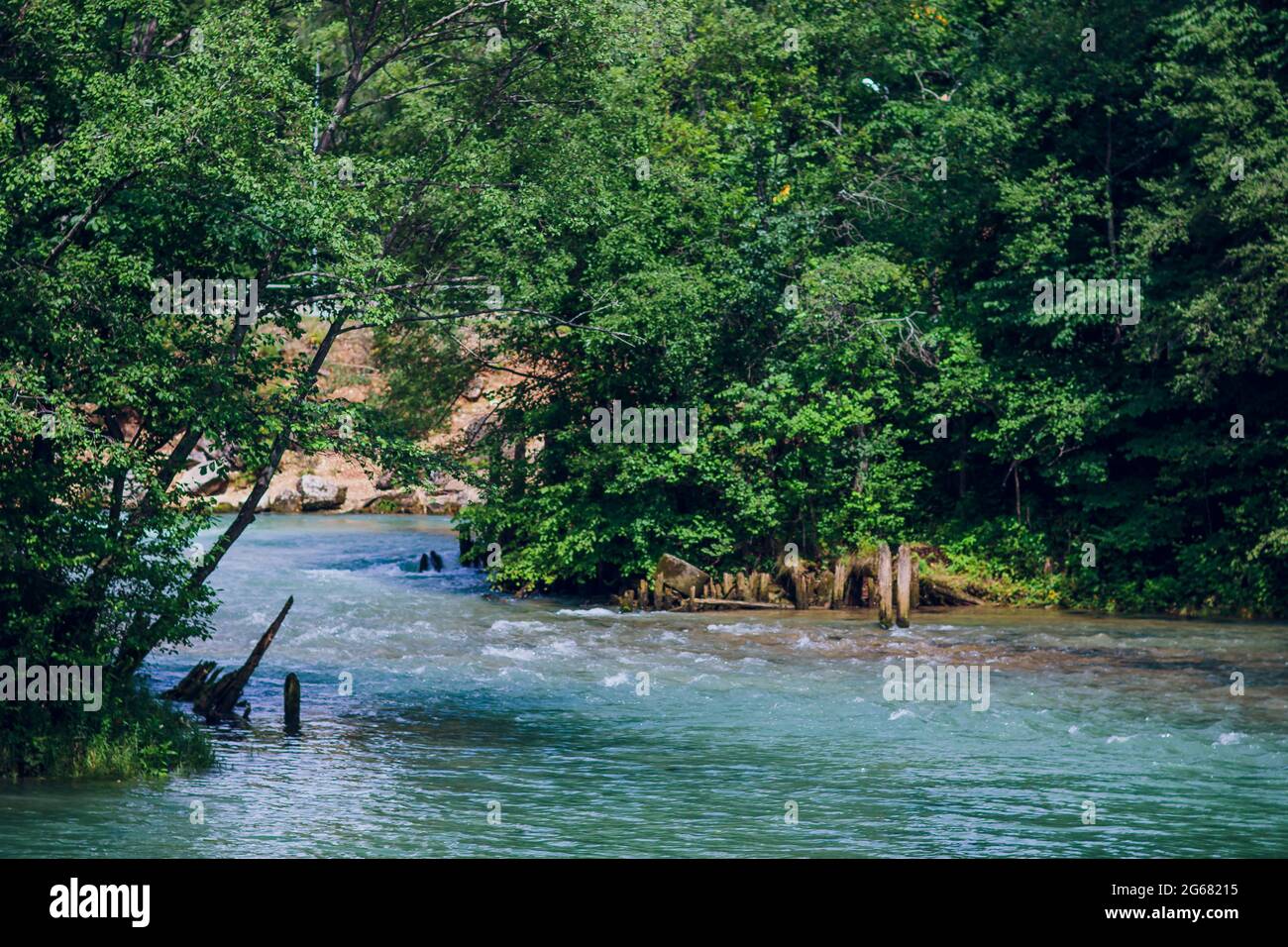 Blue water in a forest lake with pine trees Stock Photo - Alamy