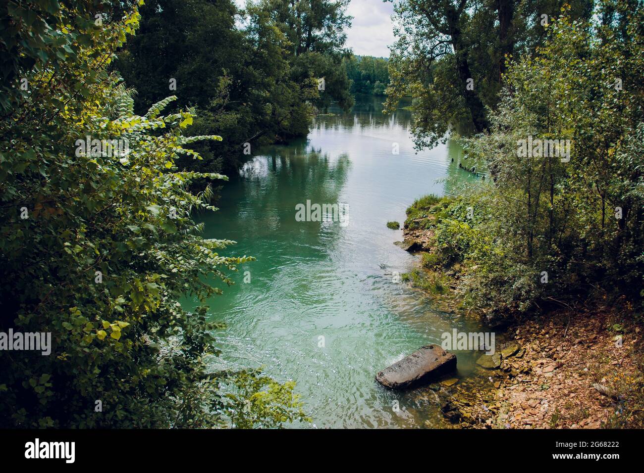 Blue water in a forest lake with pine trees Stock Photo - Alamy