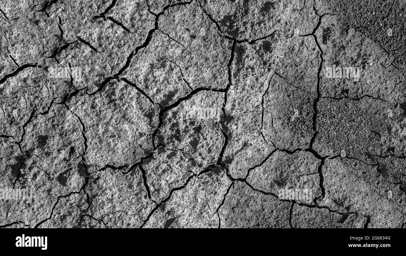 The texture of the earth is in cracks, the climate is changing, the dry land is in the cracks. Stock Photo