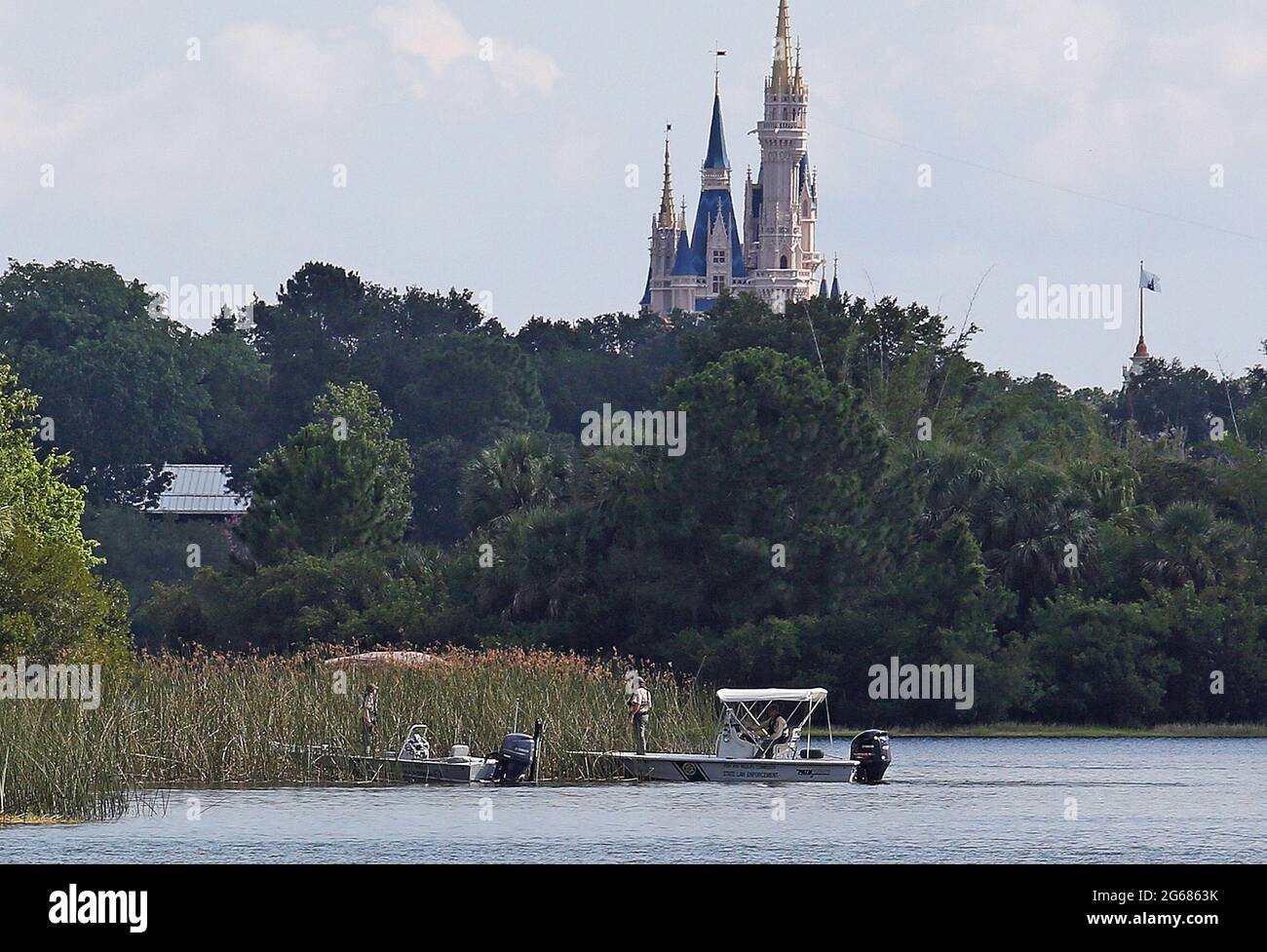Wildlife incident hires stock photography and images Alamy