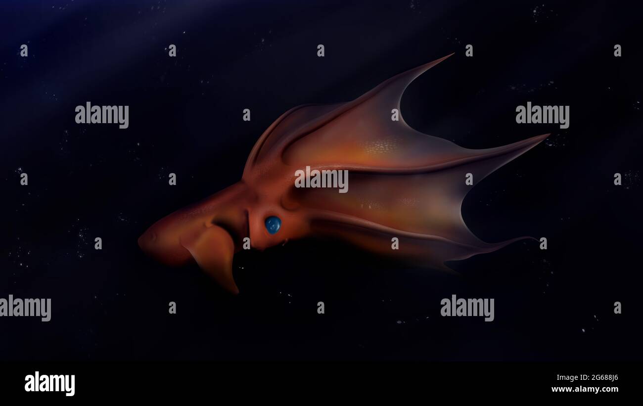 Vampire Squid animal or Vampyroteuthis infernalis in the deep sea. octonauts vampire squid. Stock Photo