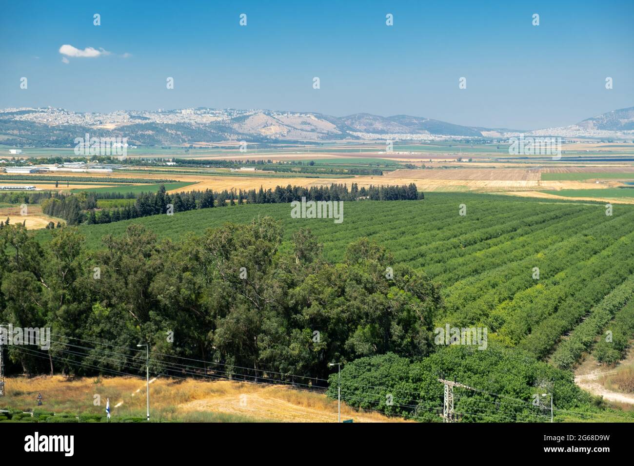 nature and landscape in Israel. High quality photo. landscape on a sunny day Stock Photo