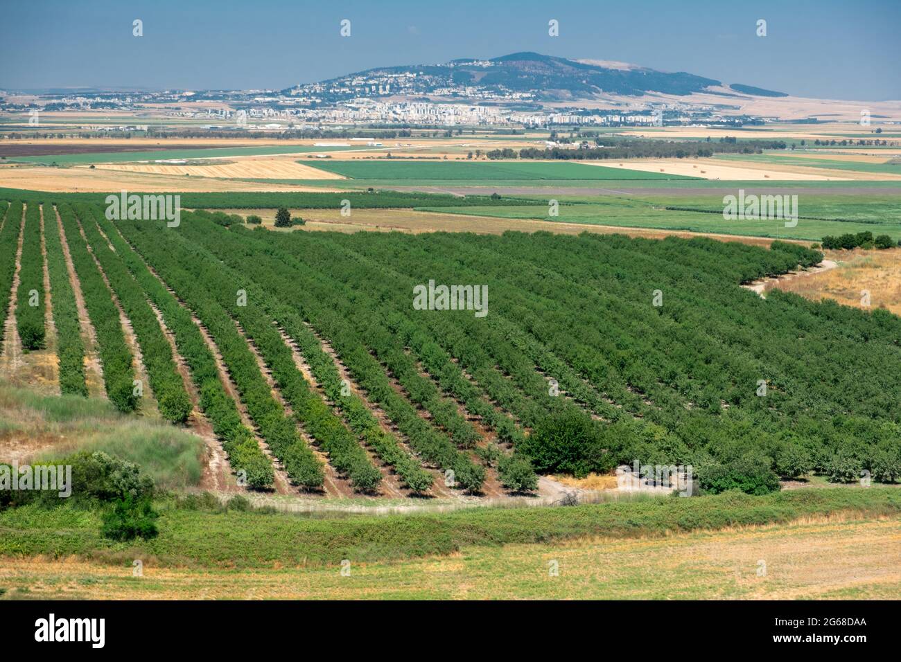nature and landscape in Israel. High quality photo. landscape on a sunny day Stock Photo