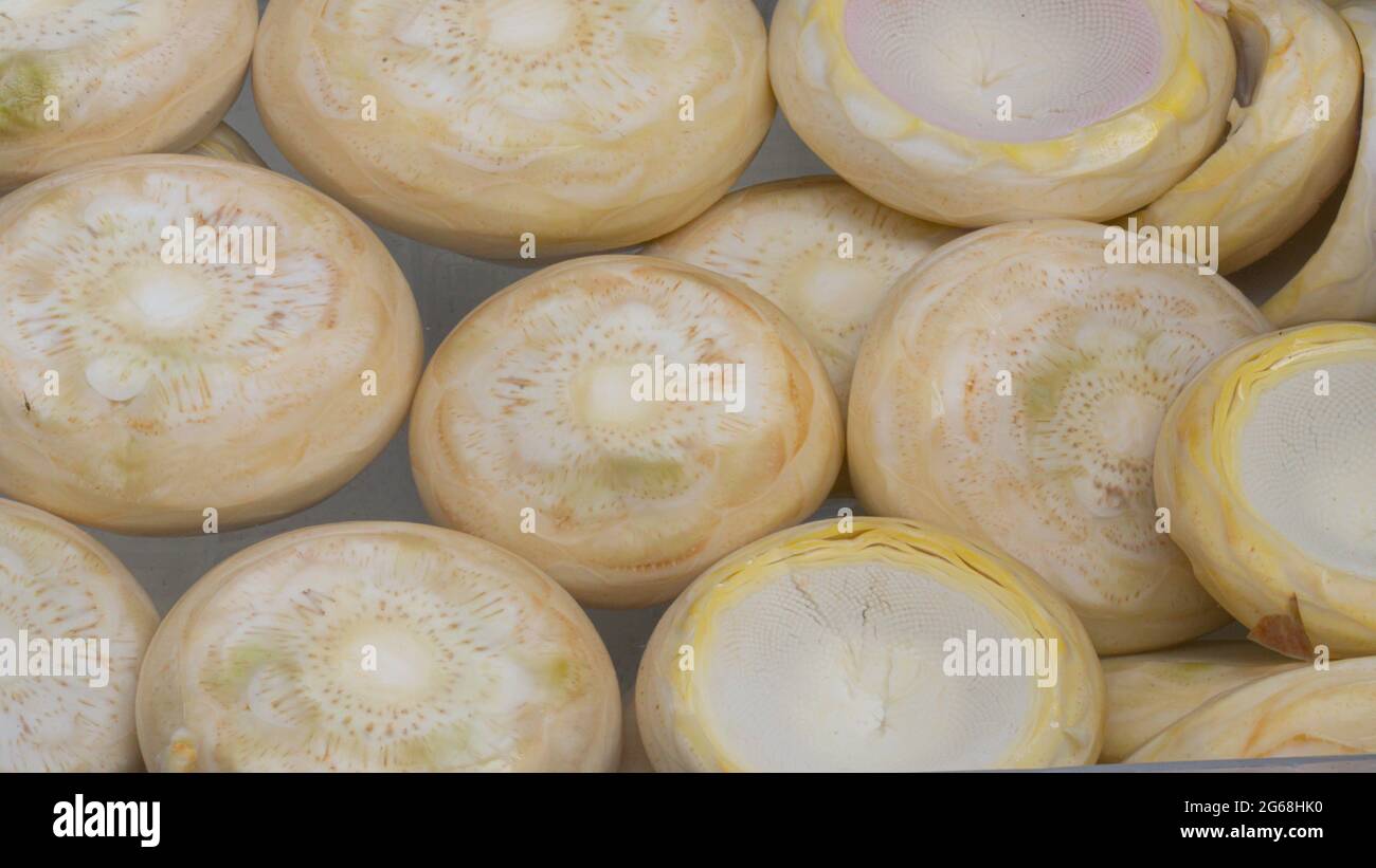 artichoke in water. Top view Stock Photo Alamy