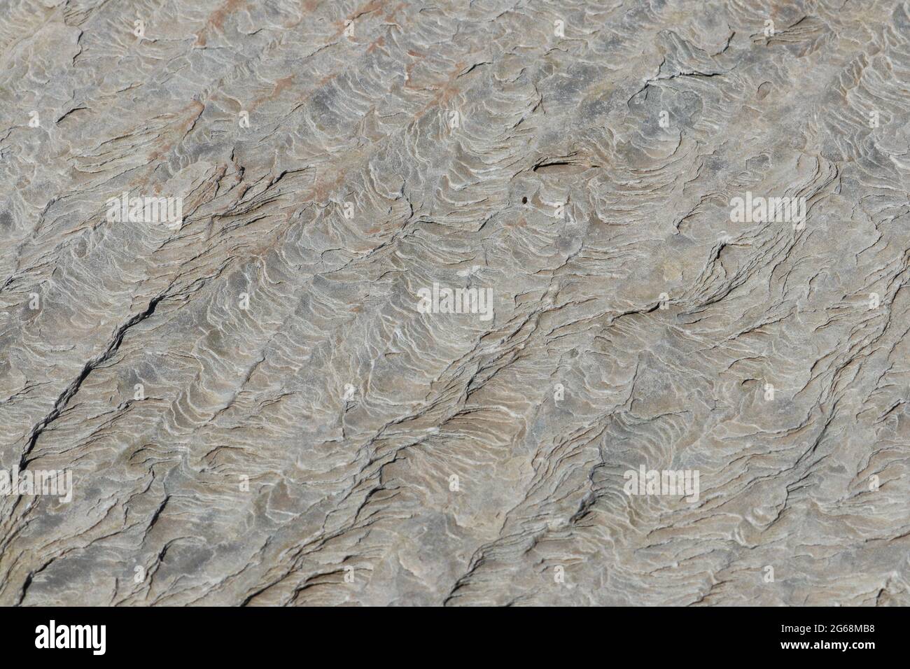 Abstract textured background of close up shale rock formation Stock Photo
