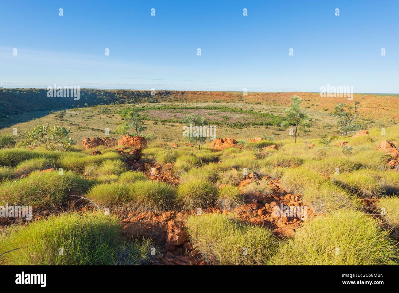 Spinifex growing on the slopes of Wolfe Creek Meteorite Crater, a popular tourist attraction near Halls Creek, Western Australia, WA, Australia Stock Photo