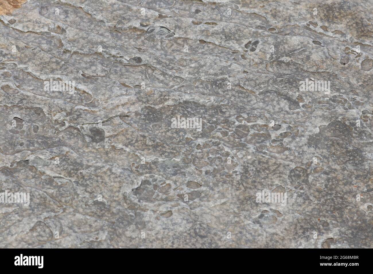 Abstract textured background of close up shale rock formation Stock Photo