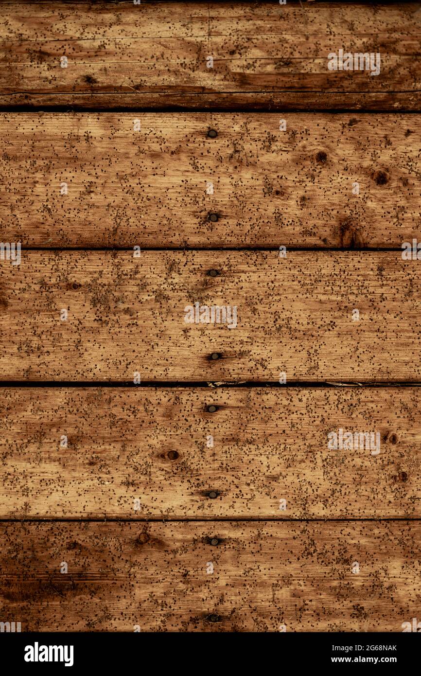 Old aged rustic wood surface background with blamishes Stock Photo