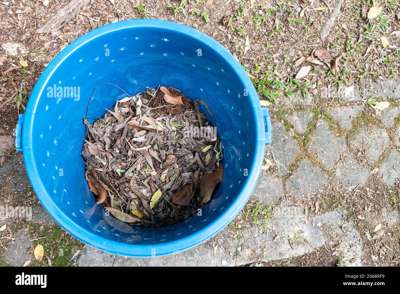 Overhead view of compost bin with dried leaves as brown material, one